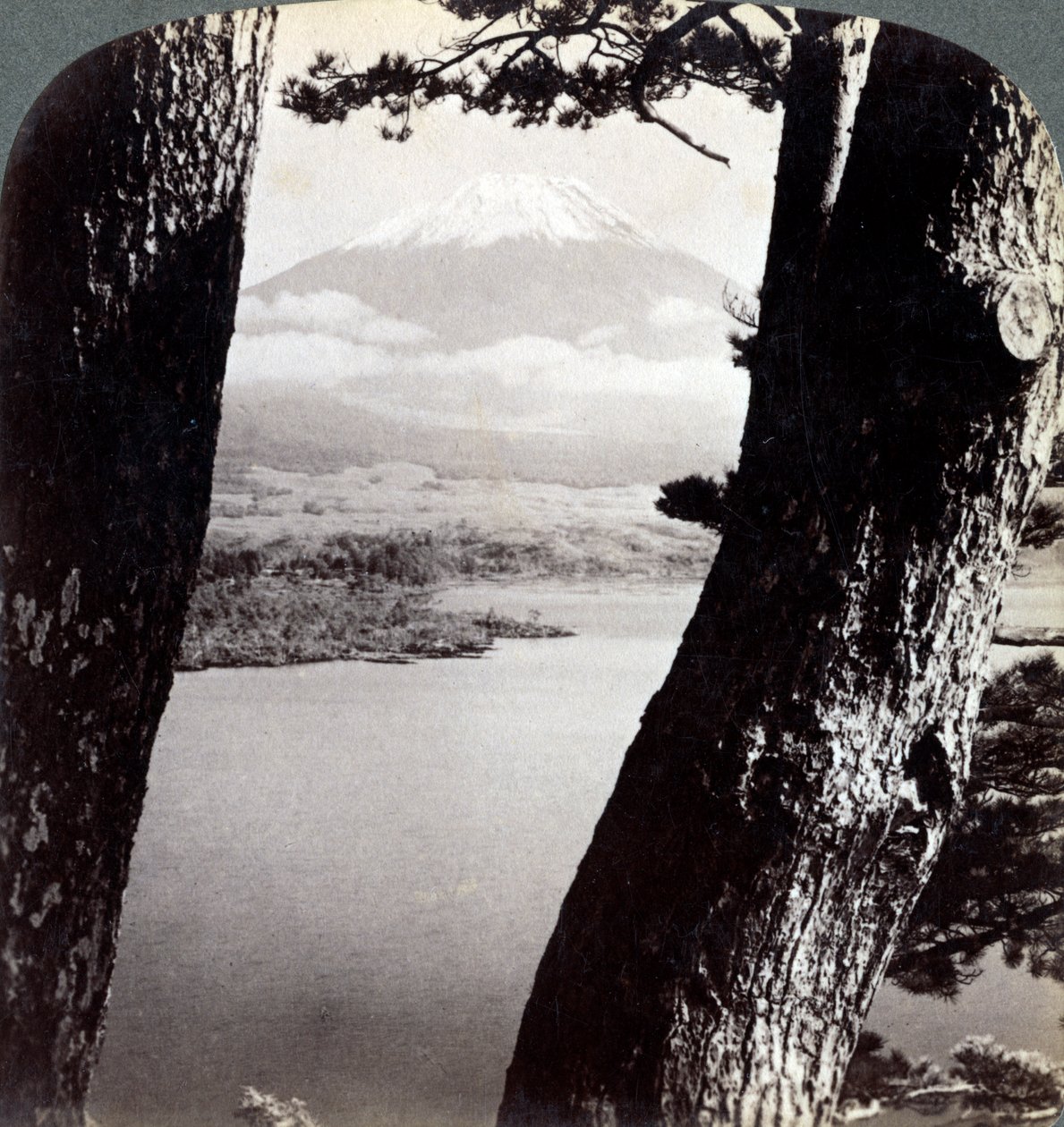 Mont Fuji, vu du nord-ouest, à travers les pins du lac Motosu, Japon - Underwood and Underwood