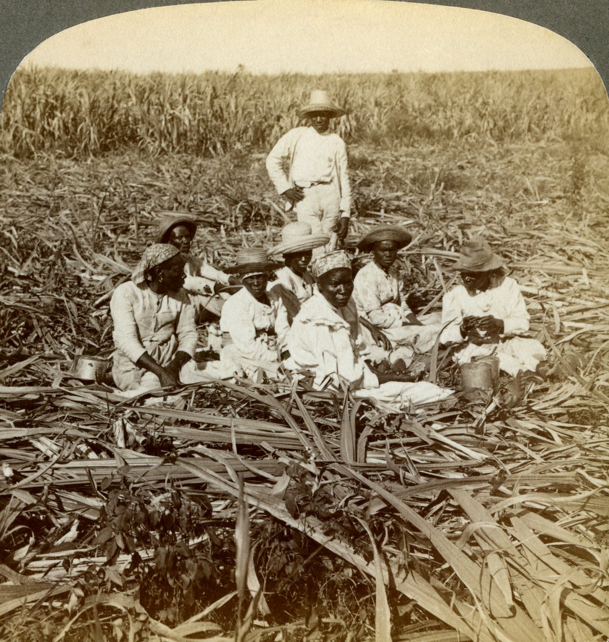 Sur la plantation de sucre La Union, San Luis, province de Santiago, Cuba, 1899 - Underwood and Underwood