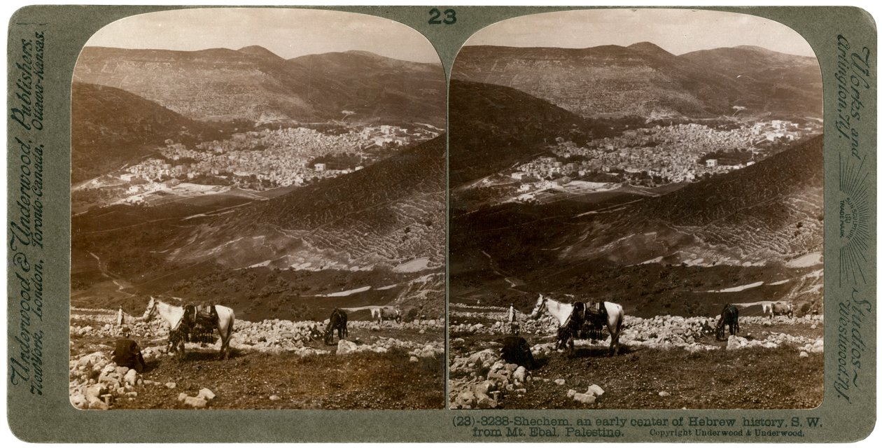 Sichem, sud-ouest du mont Ebal, Palestine, années 1900 - Underwood and Underwood