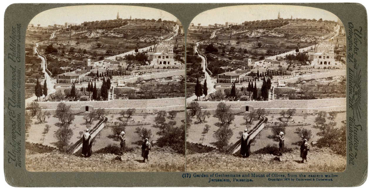 Le Jardin de Gethsémani et le Mont des Oliviers, Palestine, 1908 - Underwood and Underwood