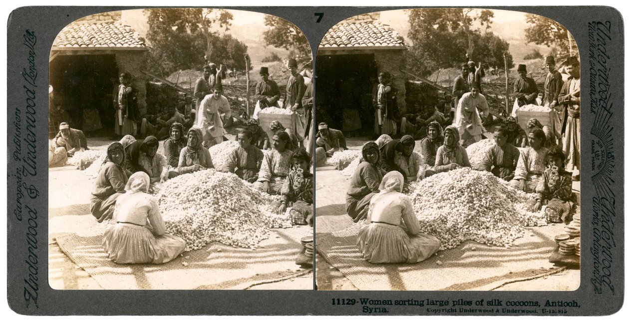 Femmes triant de grandes piles de cocons de soie, Antioche, Syrie - Underwood and Underwood