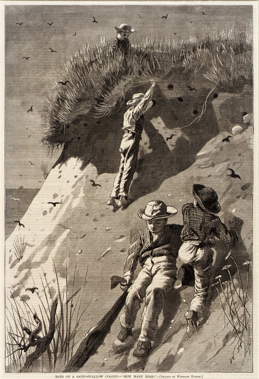 Raid sur une colonie d
