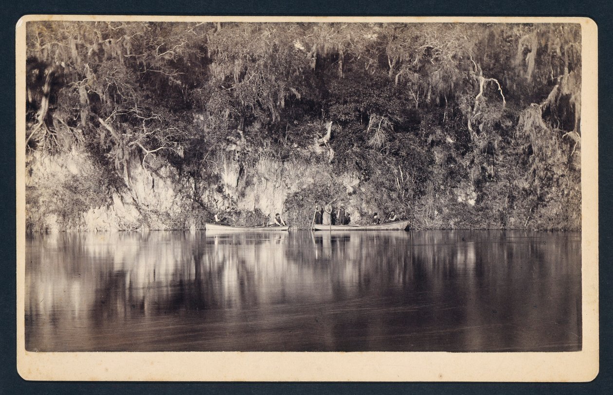 [Sous les falaises de la rivière Withlacoochee, Floride] - Unidentified