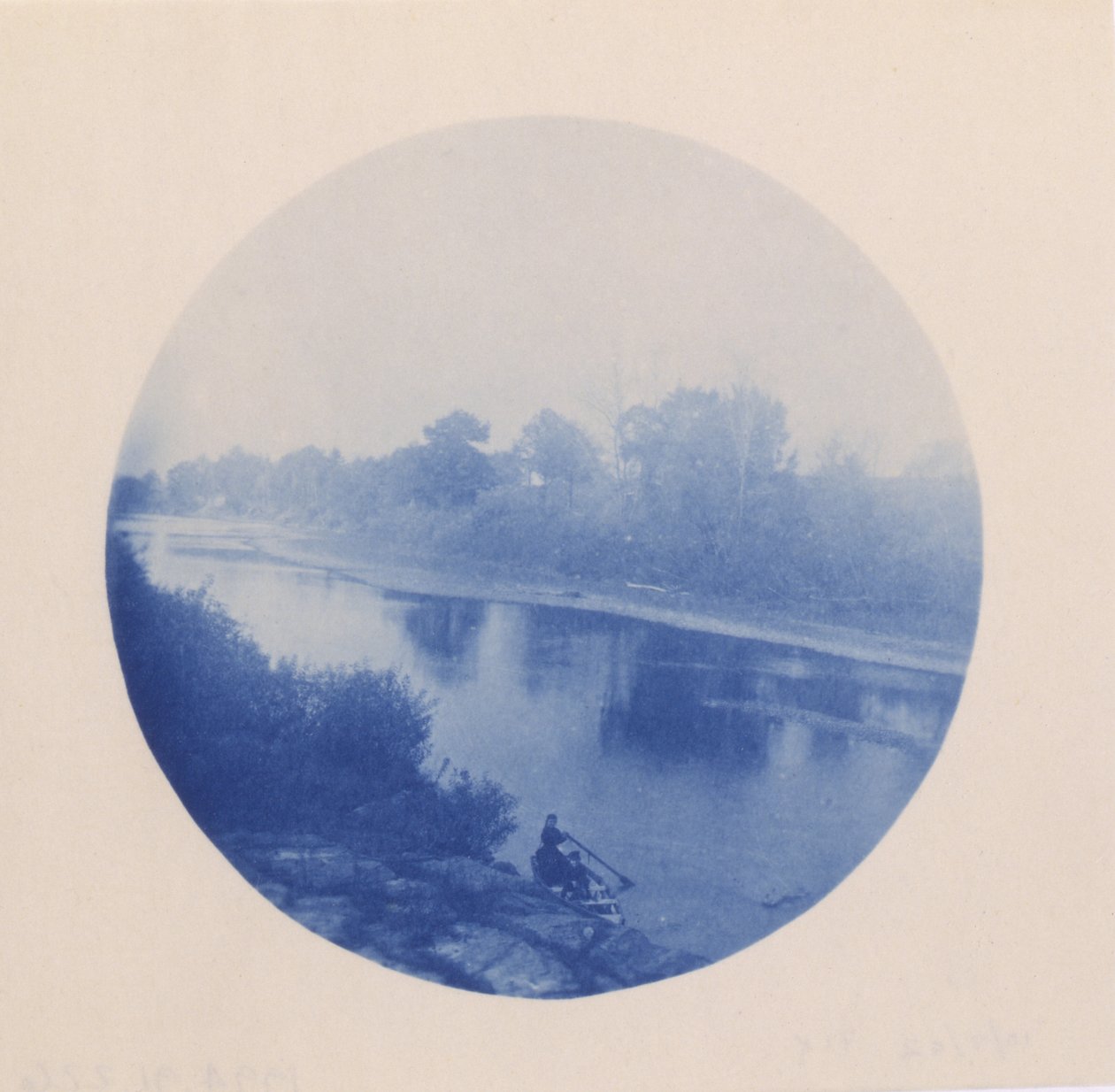 [Vue d