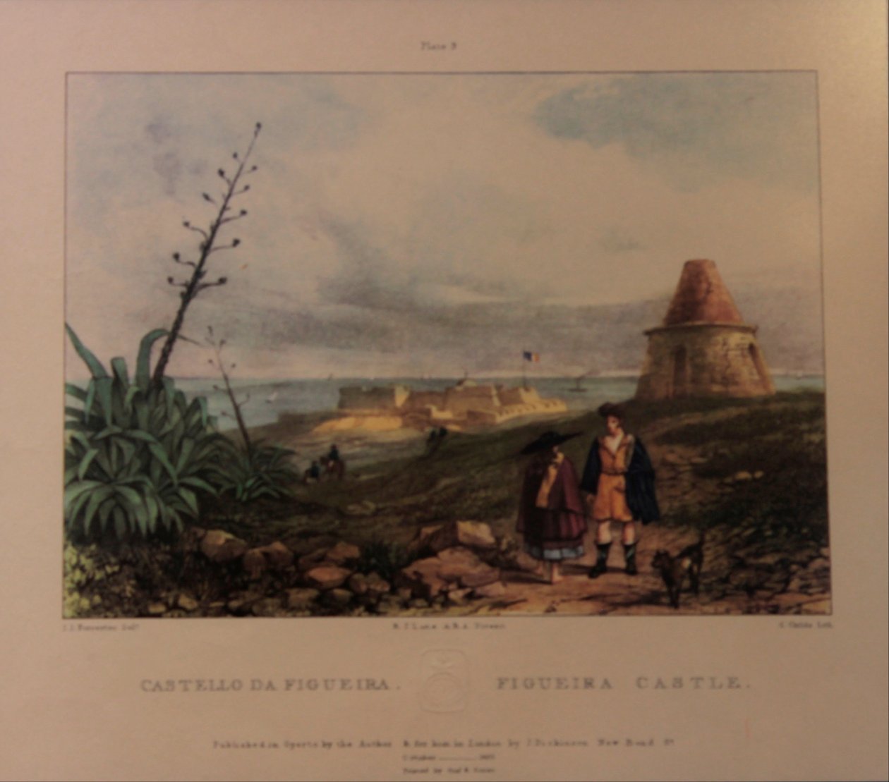 Baron de Forrester - Château de Figueira - Unknown