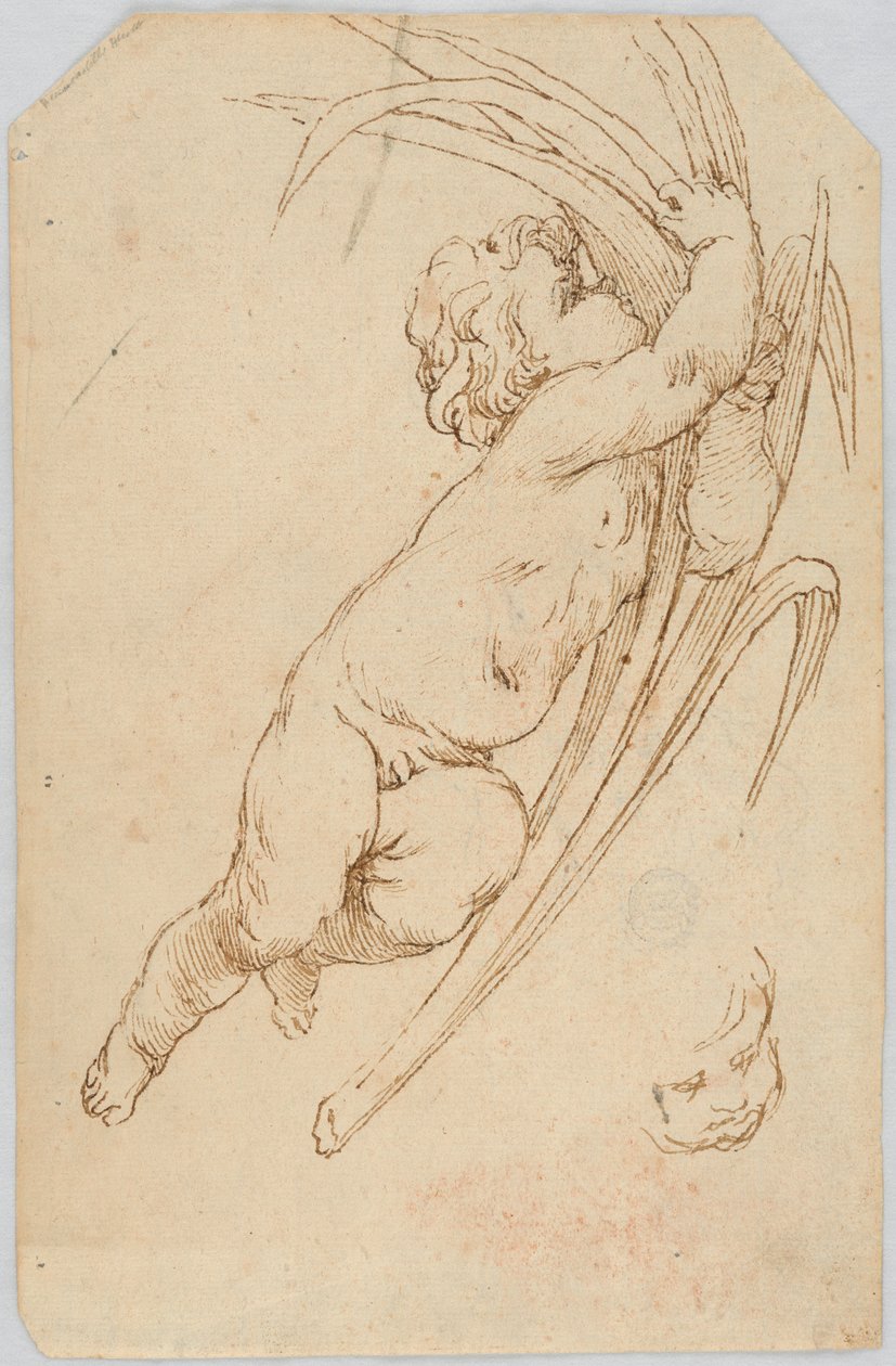 Dessin (Italie) - Unknown