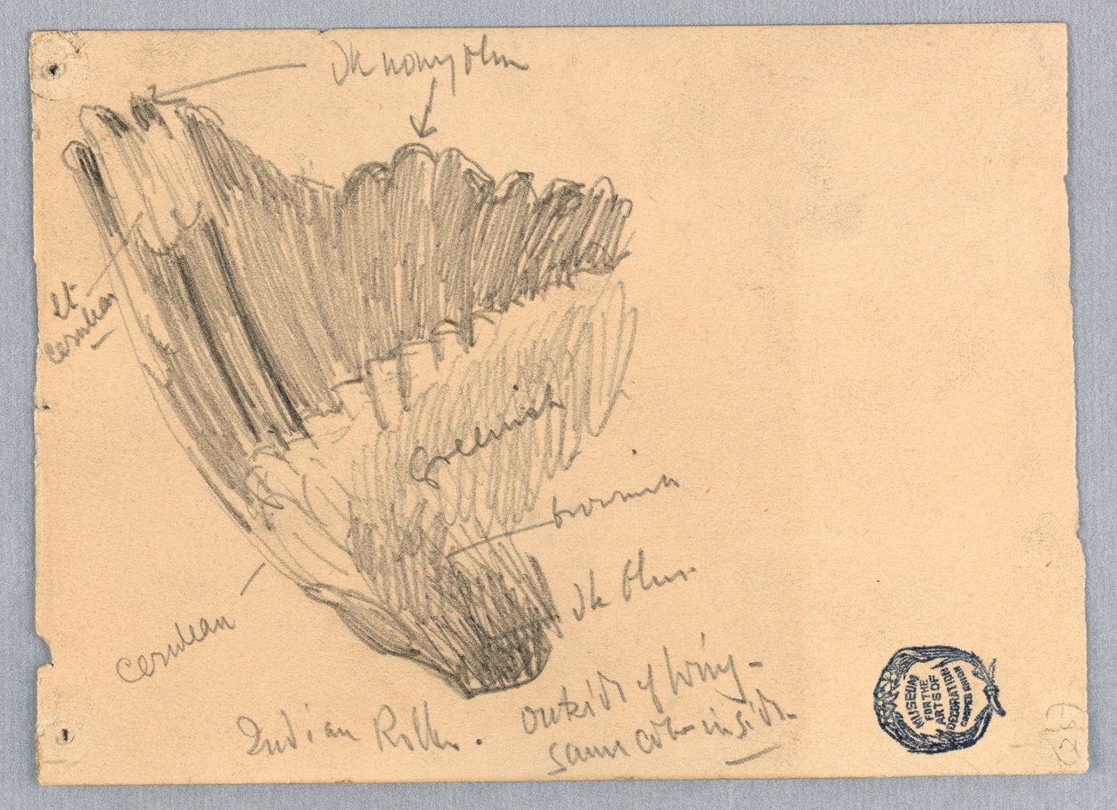 Dessin - Unknown