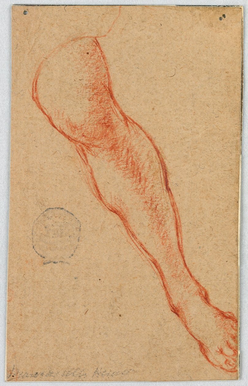 Dessin, Étude de la jambe gauche d