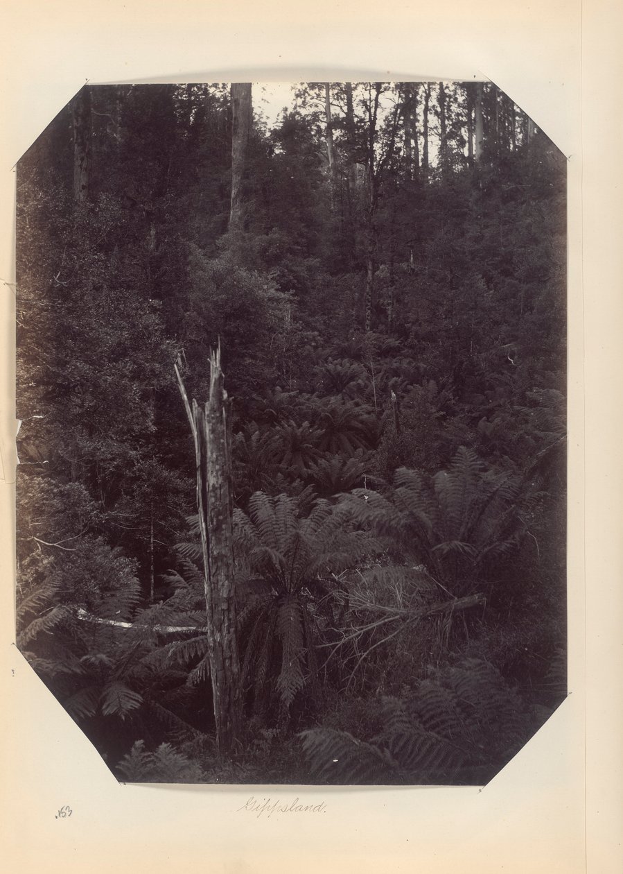 Australie - (Victoria et Australie du Sud) - Unknown