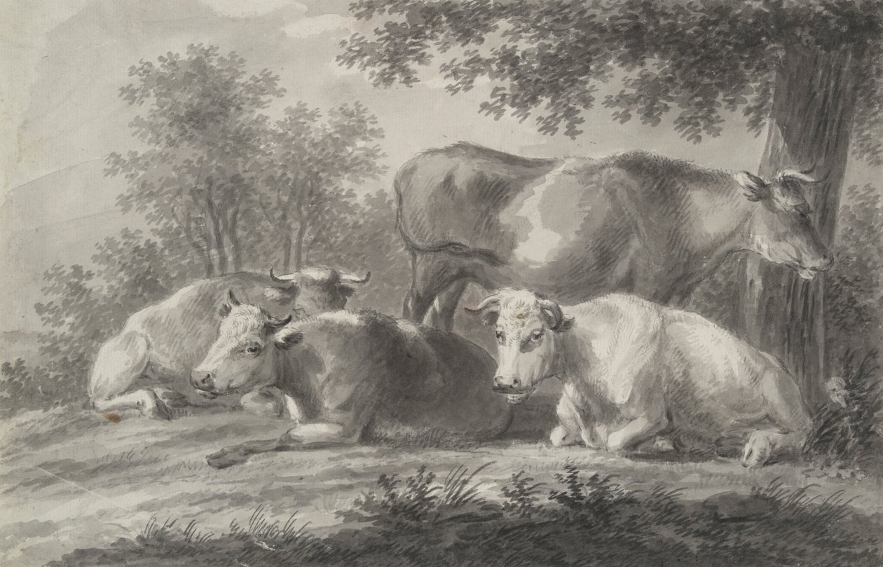 Vaches au repos - Unknown
