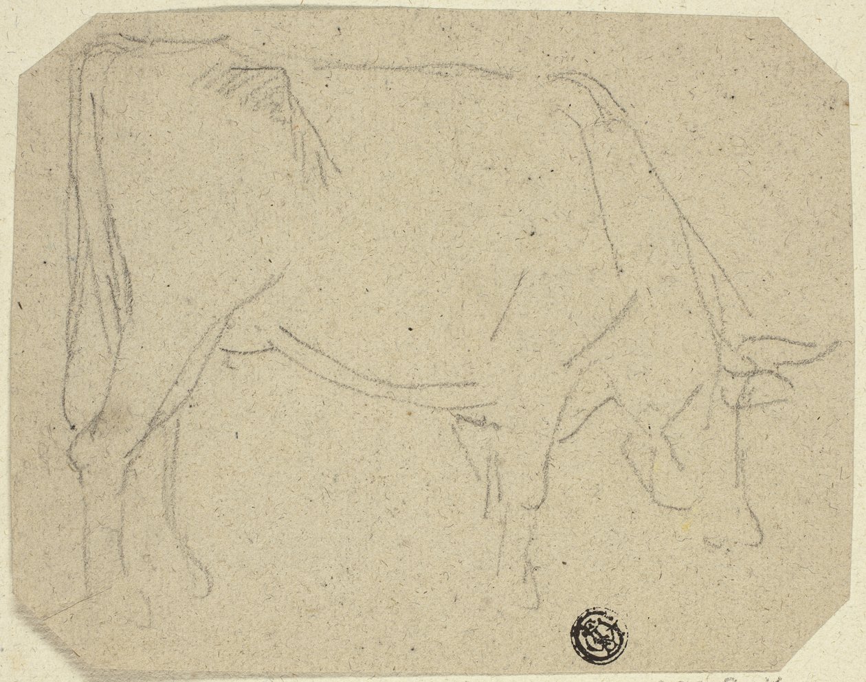 Vache broutant (tournée à droite) (recto); Arrière-train d