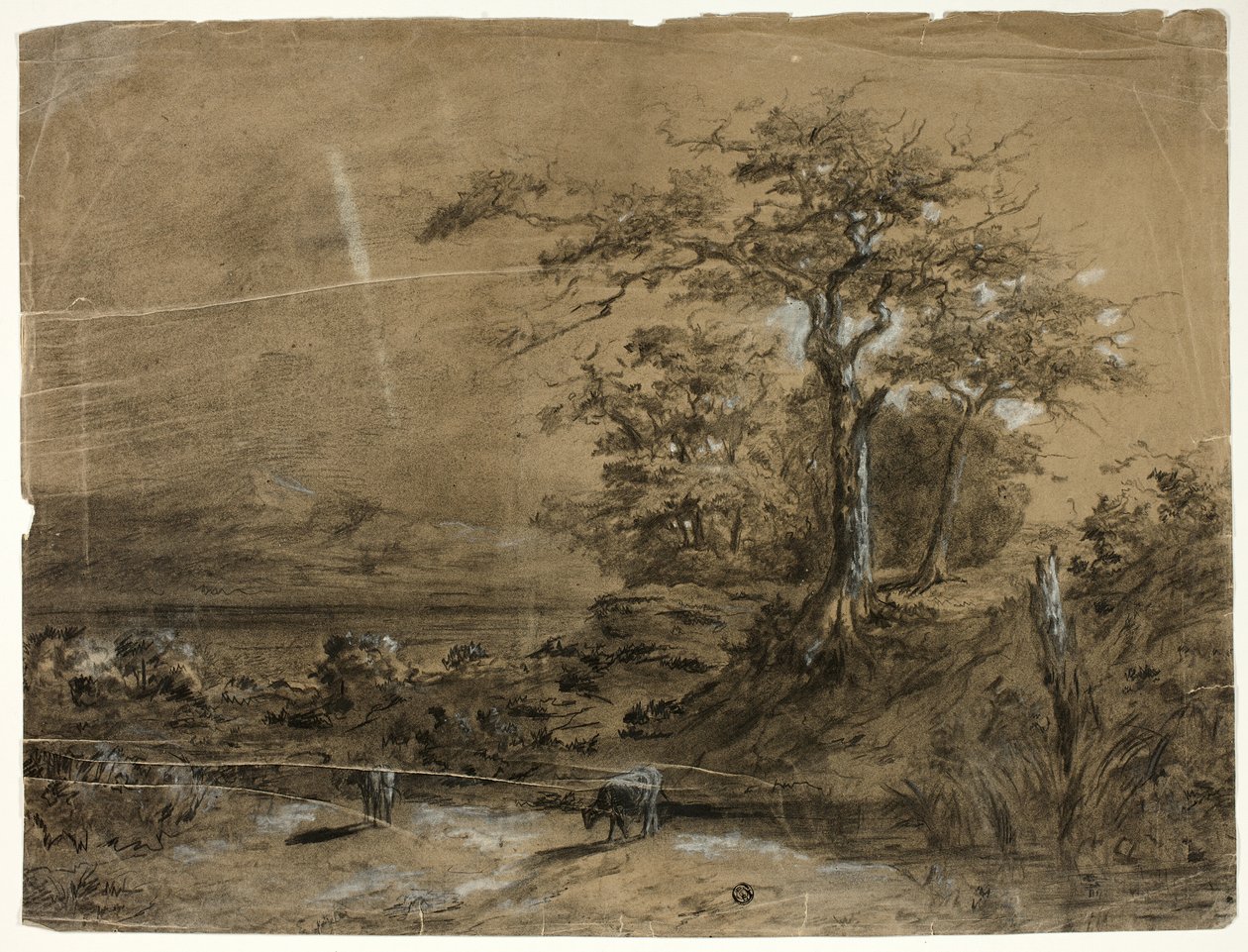 Paysage boisé avec vaches au premier plan - Unknown