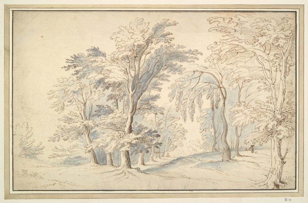 Paysage boisé - Unknown