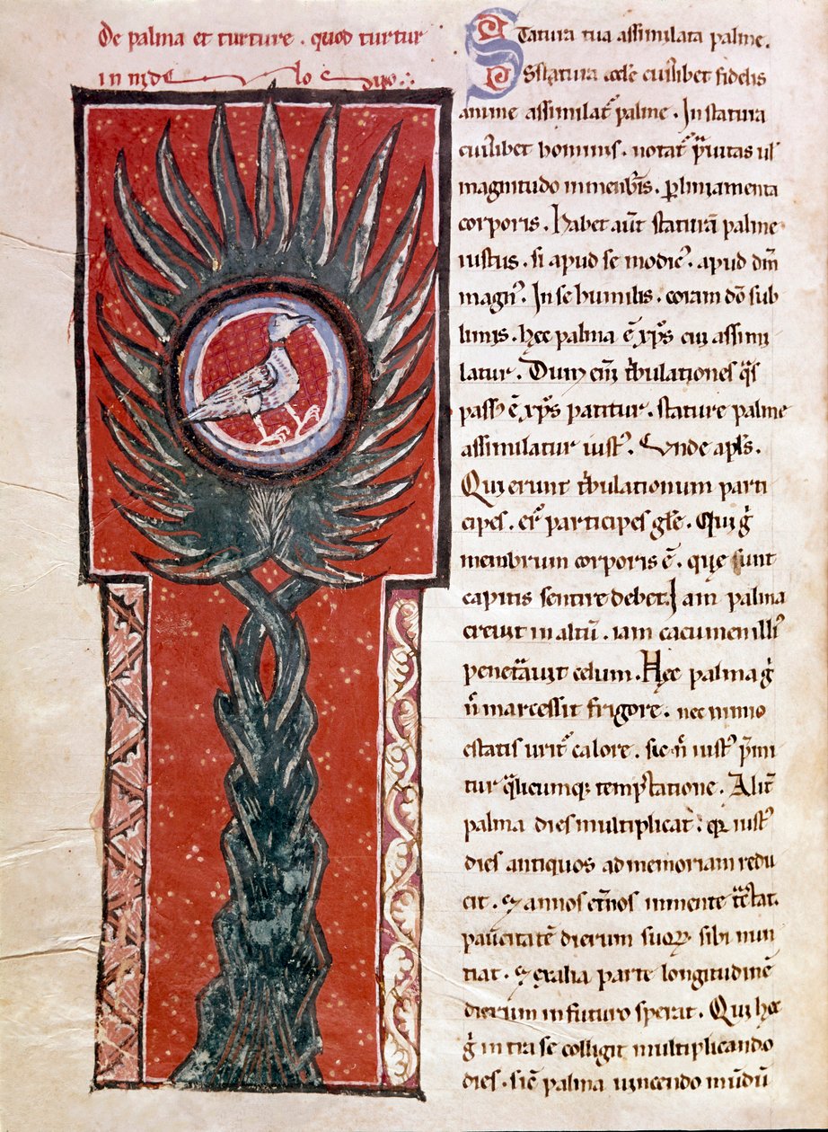 Une colombe faisant son nid dans un palmier (miniature) - Unknown artist