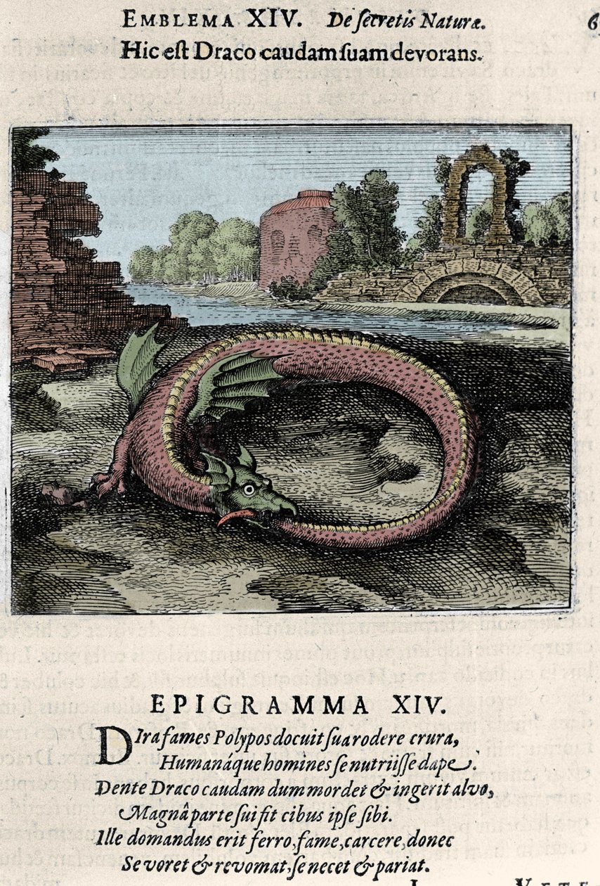 Un dragon battant de la queue (ou Ouroburo (?)). Planche tirée du traité d