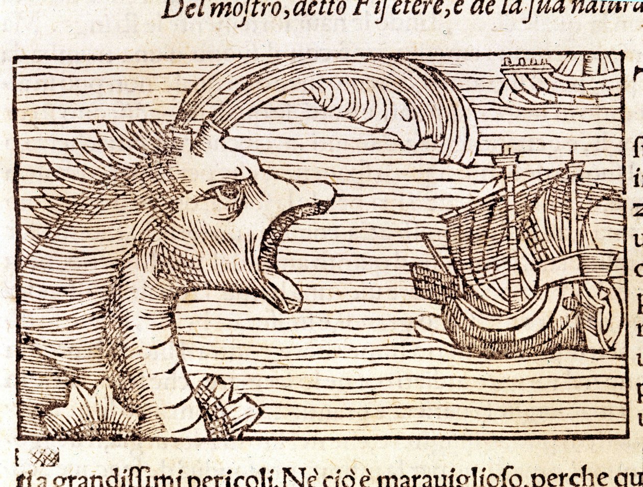 Un cachalot (?) (physeter) attaque un navire. Gravure par Olaus Magnus (1490 - 1557), religieux et géographe suédois, « Historia de Gentis Septentrionalibus », Venise - Unknown artist
