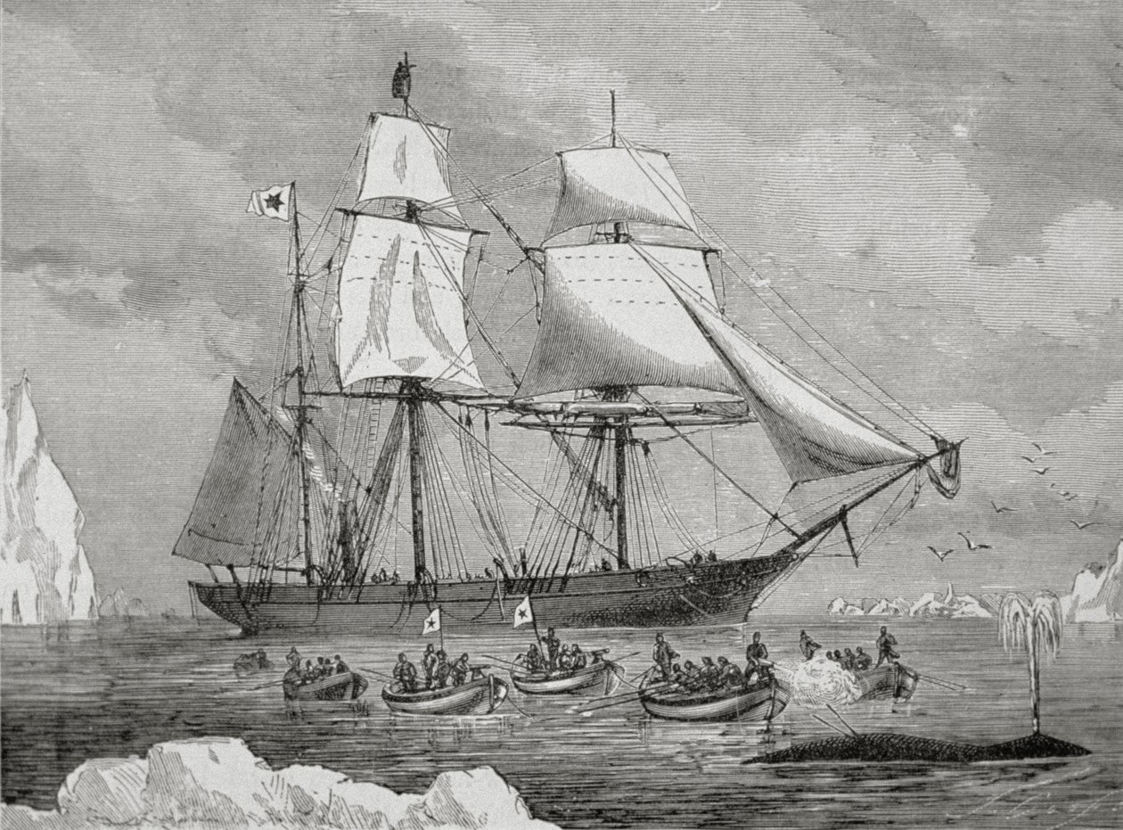 Un baleinier avec un bateau attaché à un 