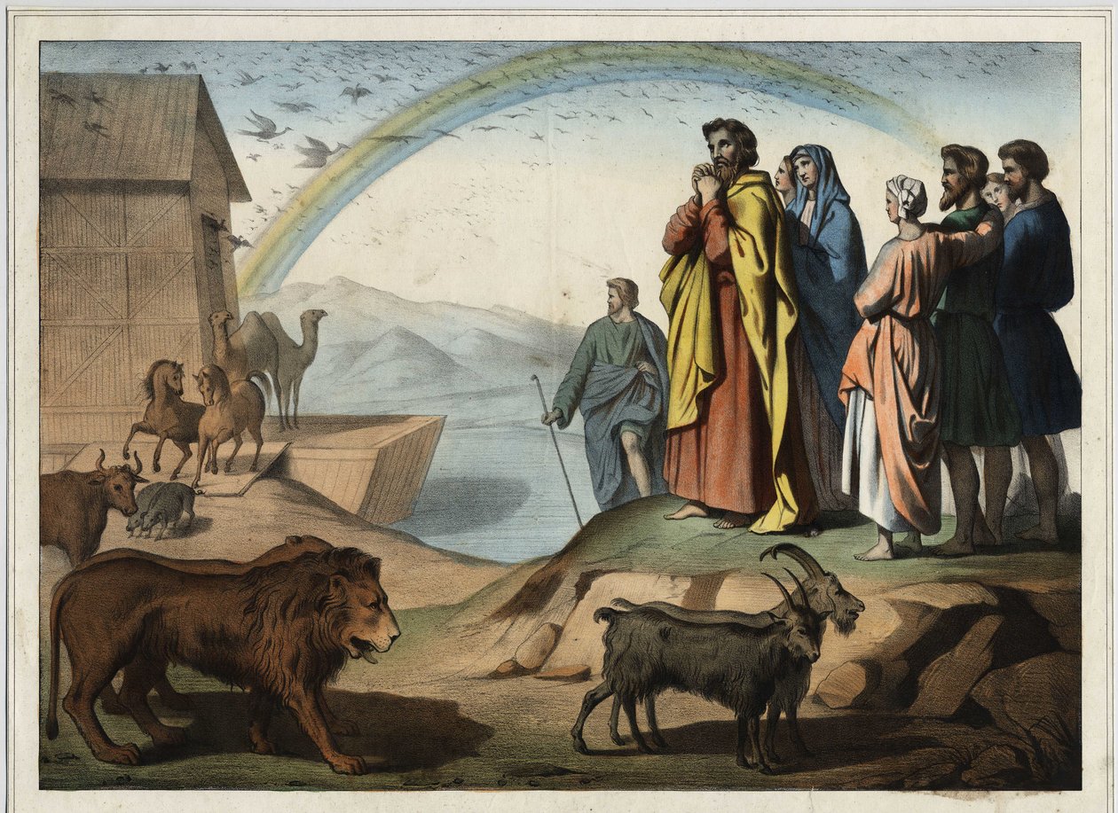 Après le déluge, les animaux descendent de l