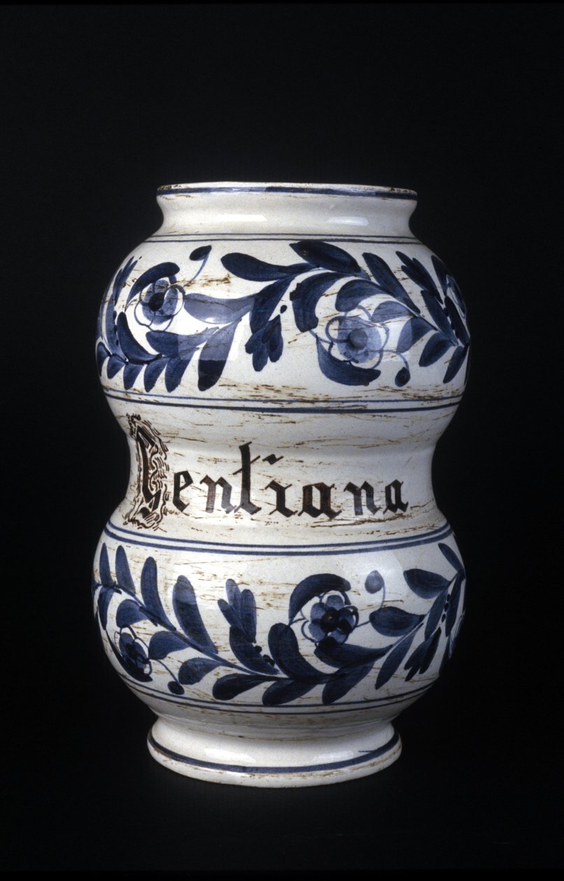 Albarelle : ancien vase de pharmacie du XVIe siècle contenant de la gentiane. Musée des Sciences et de la Technologie, Milan. - Unknown artist