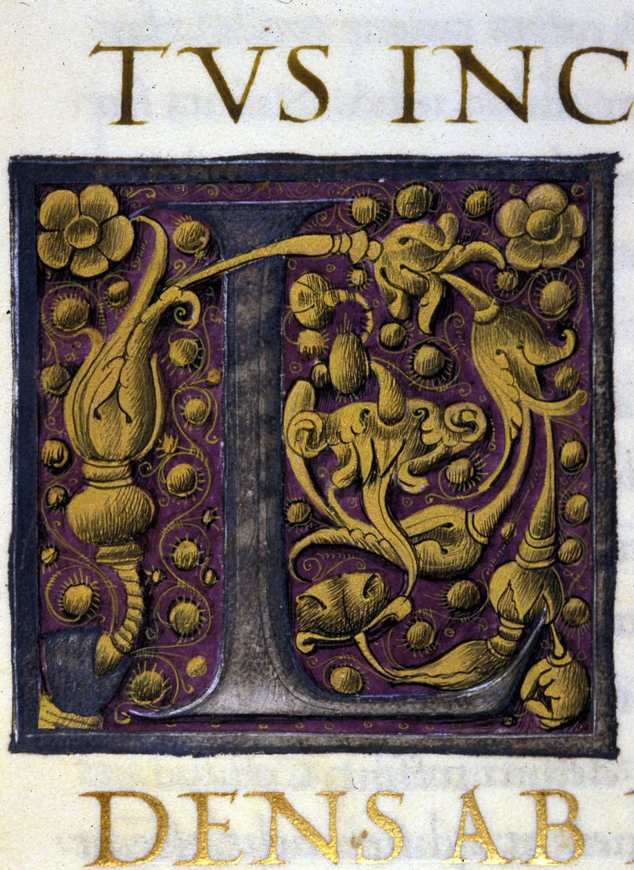 Alphabet : lettre L miniaturée - Unknown artist