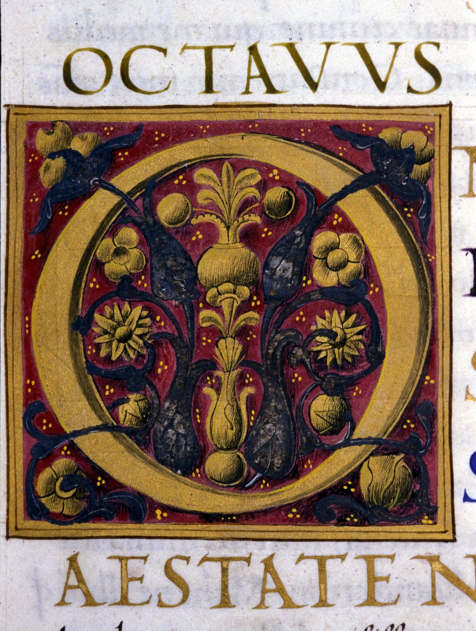 Alphabet : lettre O miniaturée - Unknown artist