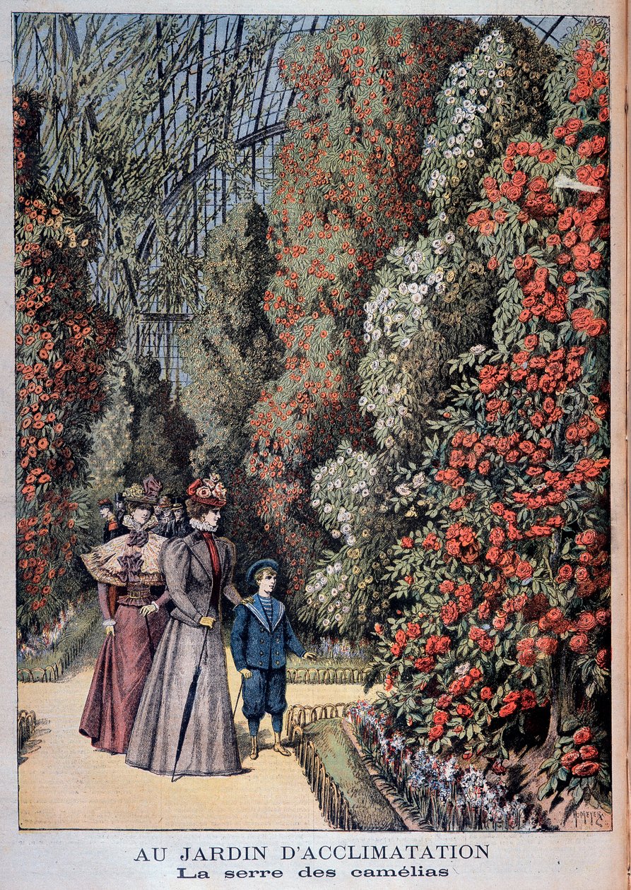 Au jardin d