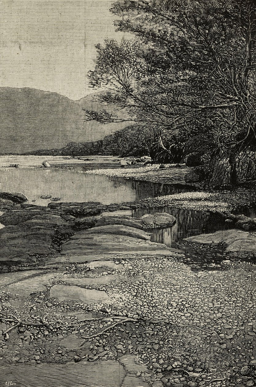 Rives de la rivière Gudda, Afrique, gravure d
