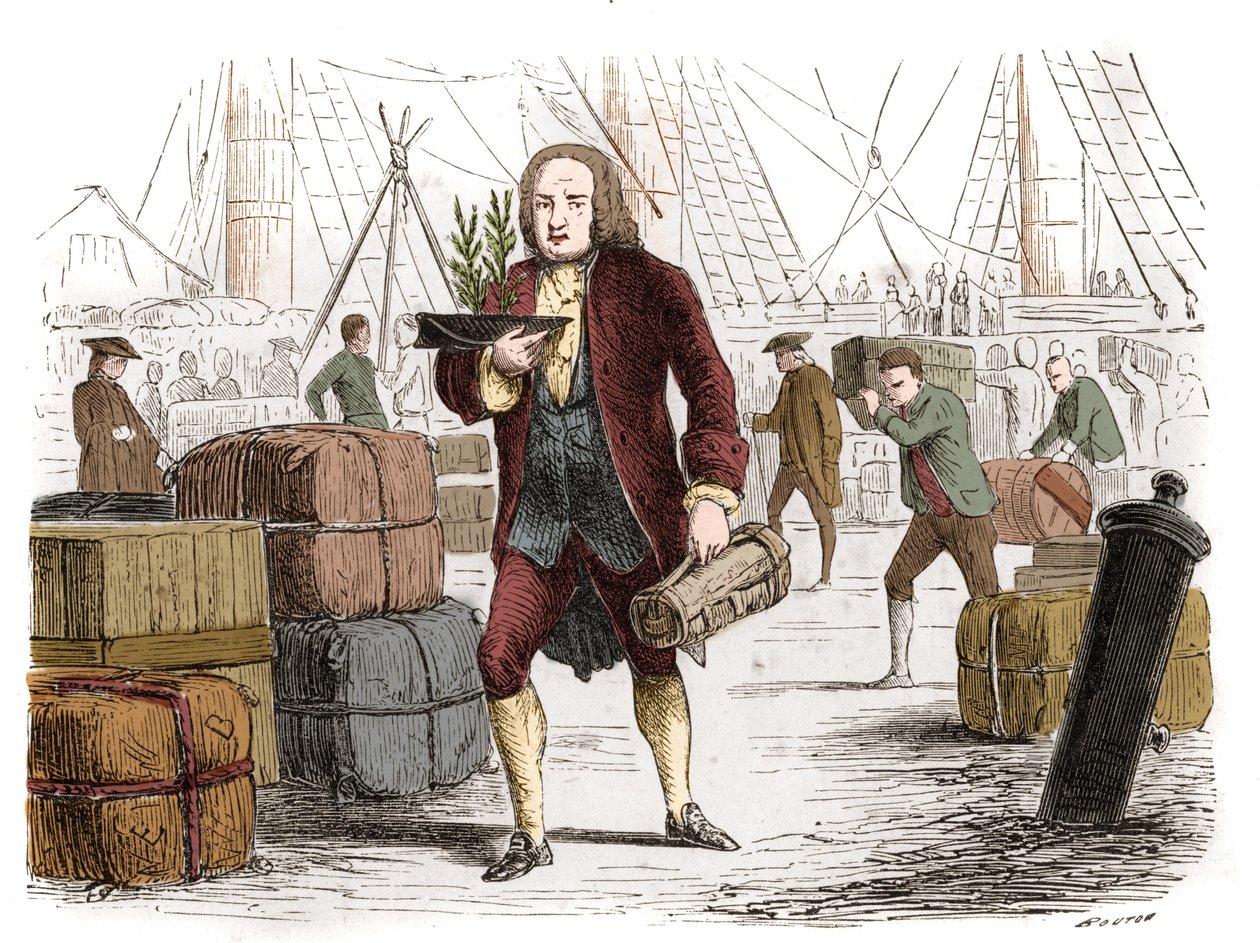 Bernard de Jussieu (1699-1777), botaniste français apportant deux cèdres du Liban d