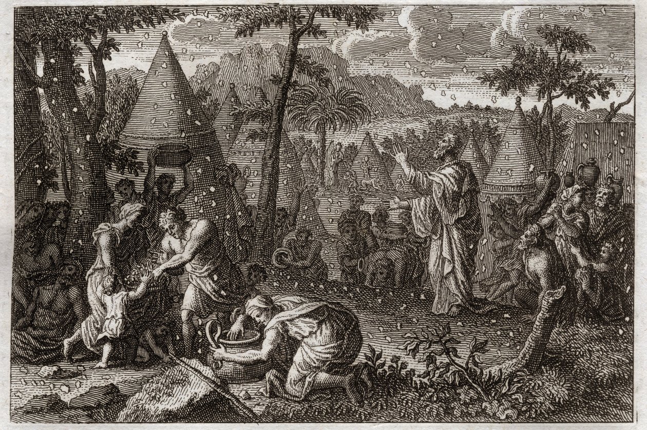 Bible de Royaumont, Ancien Testament : Les Juifs dans le désert (ou la récolte de la manne). Illustration de 1811. - Unknown artist