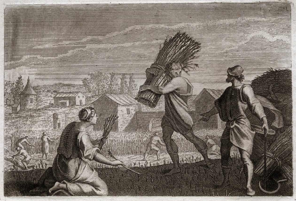 Bible de Royaumont, Ancien Testament : Ruth suit sa belle-mère Noémi au pays de Juda et glane les champs de blé de Booz. Illustration de 1811. - Unknown artist