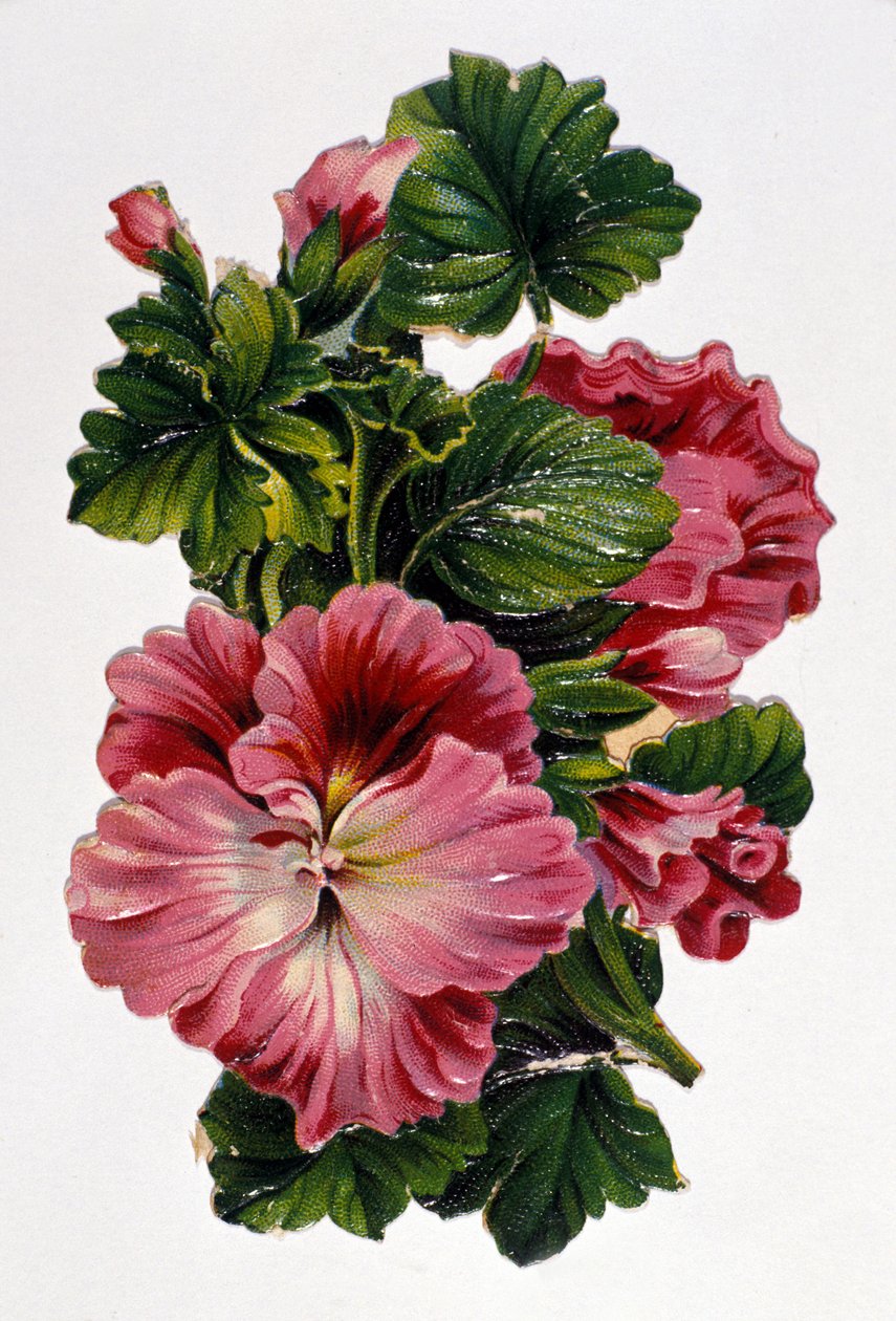 Bouquet de fleurs. Chromolithographie du 19ème siècle - Unknown artist