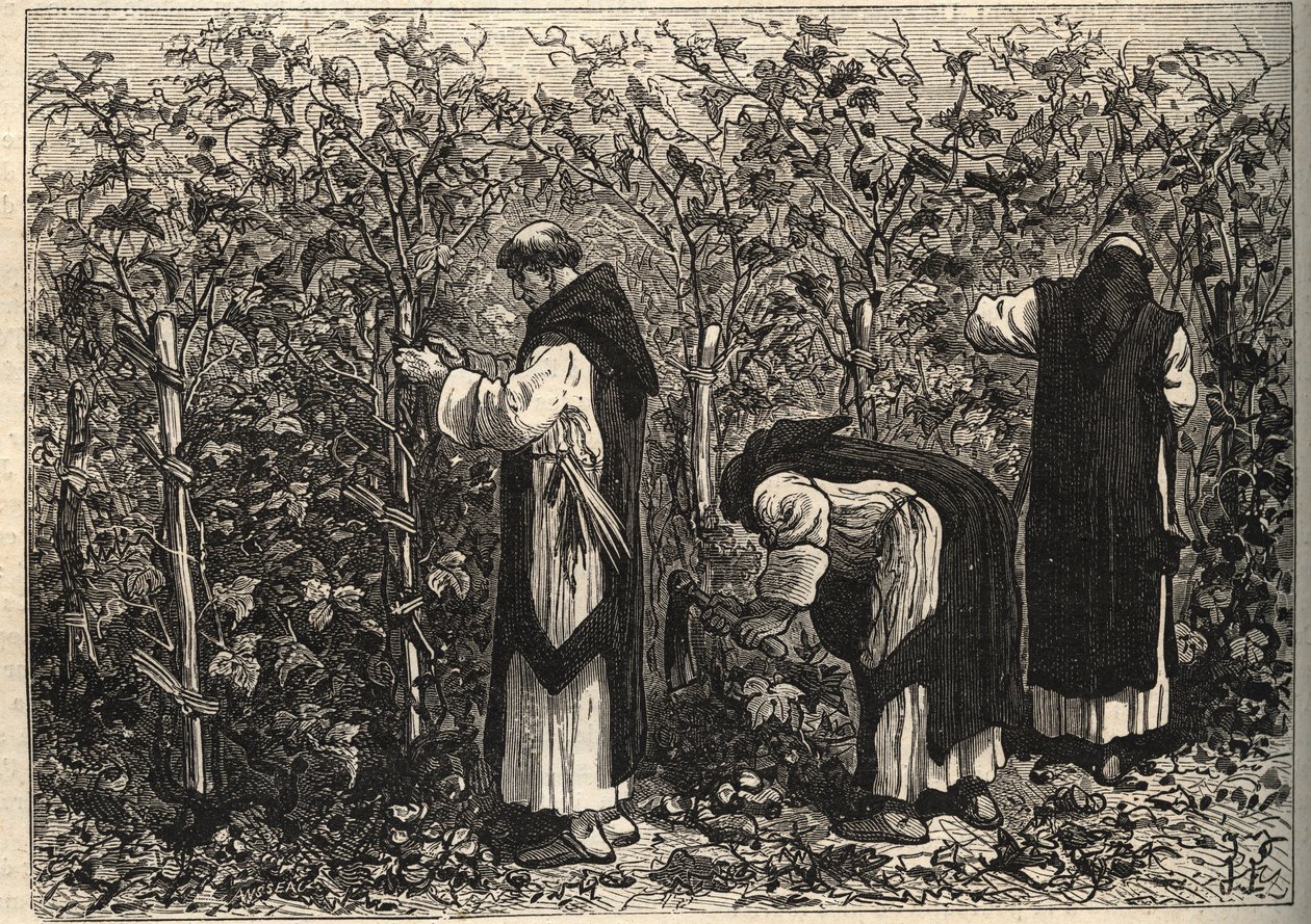 Les moines de Bourgogne cultivant la vigne - par Louis Figuier - fin du ...