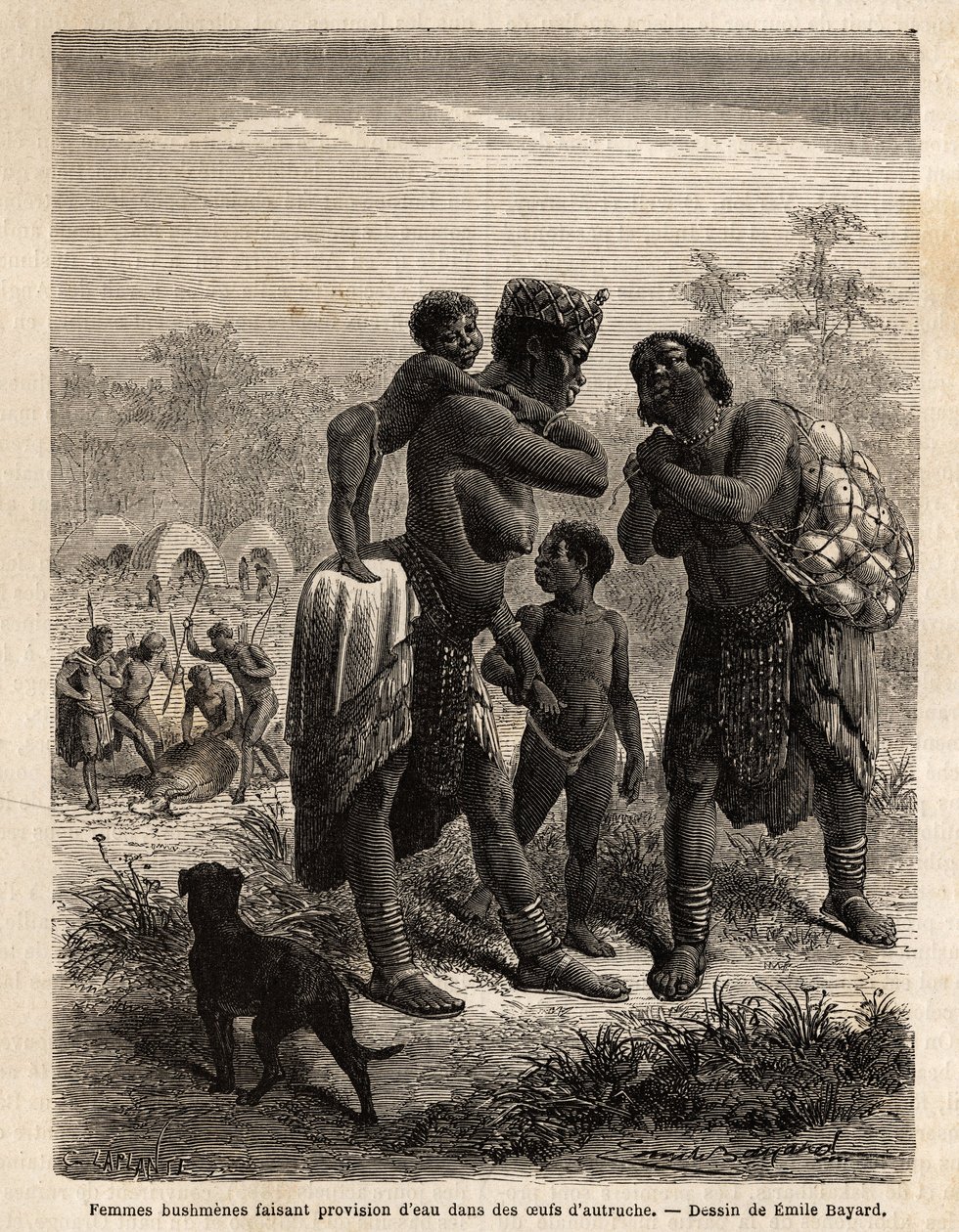 Bushmen stockant de l