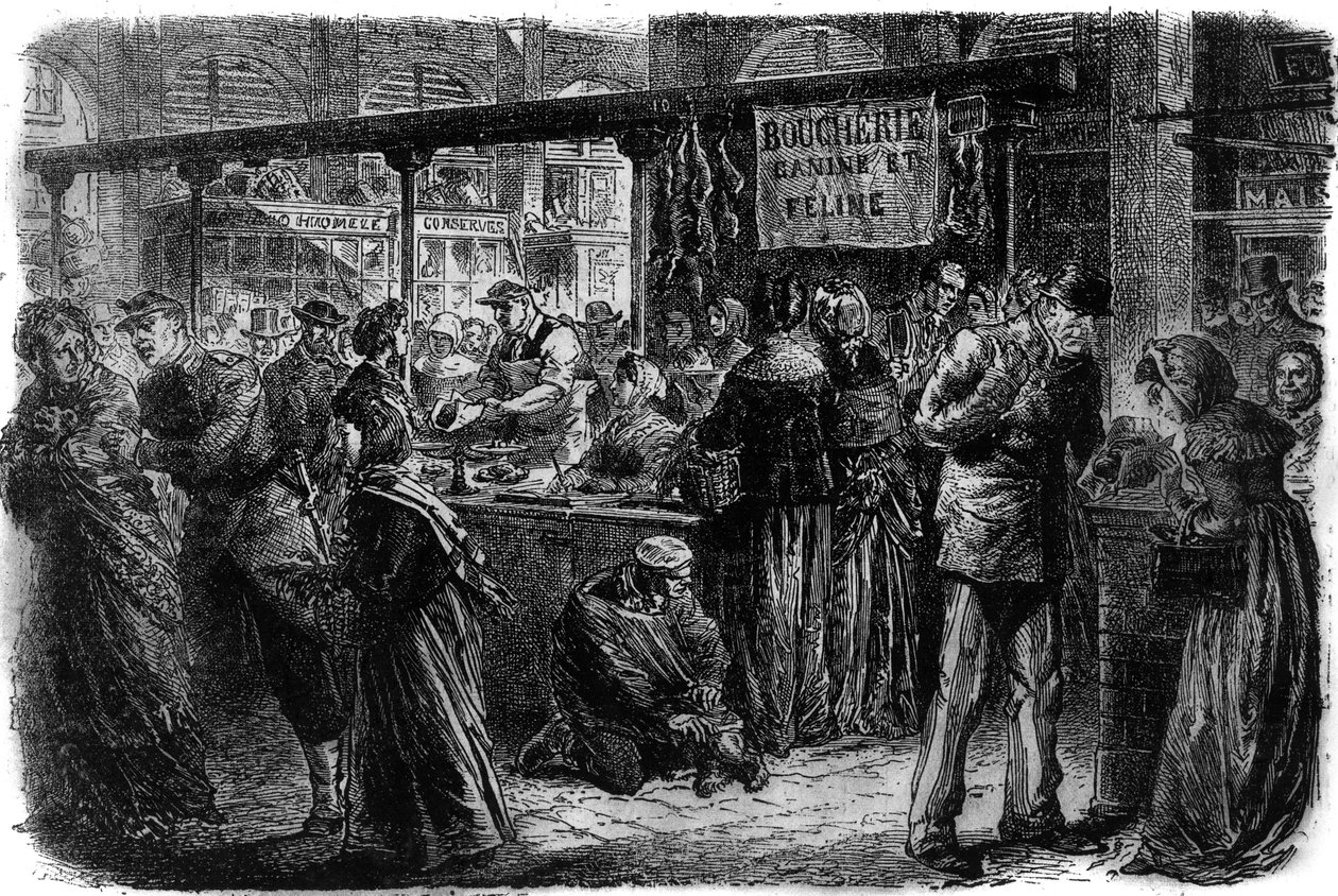 Boucherie canine et féline à Paris en 1870 - Unknown artist