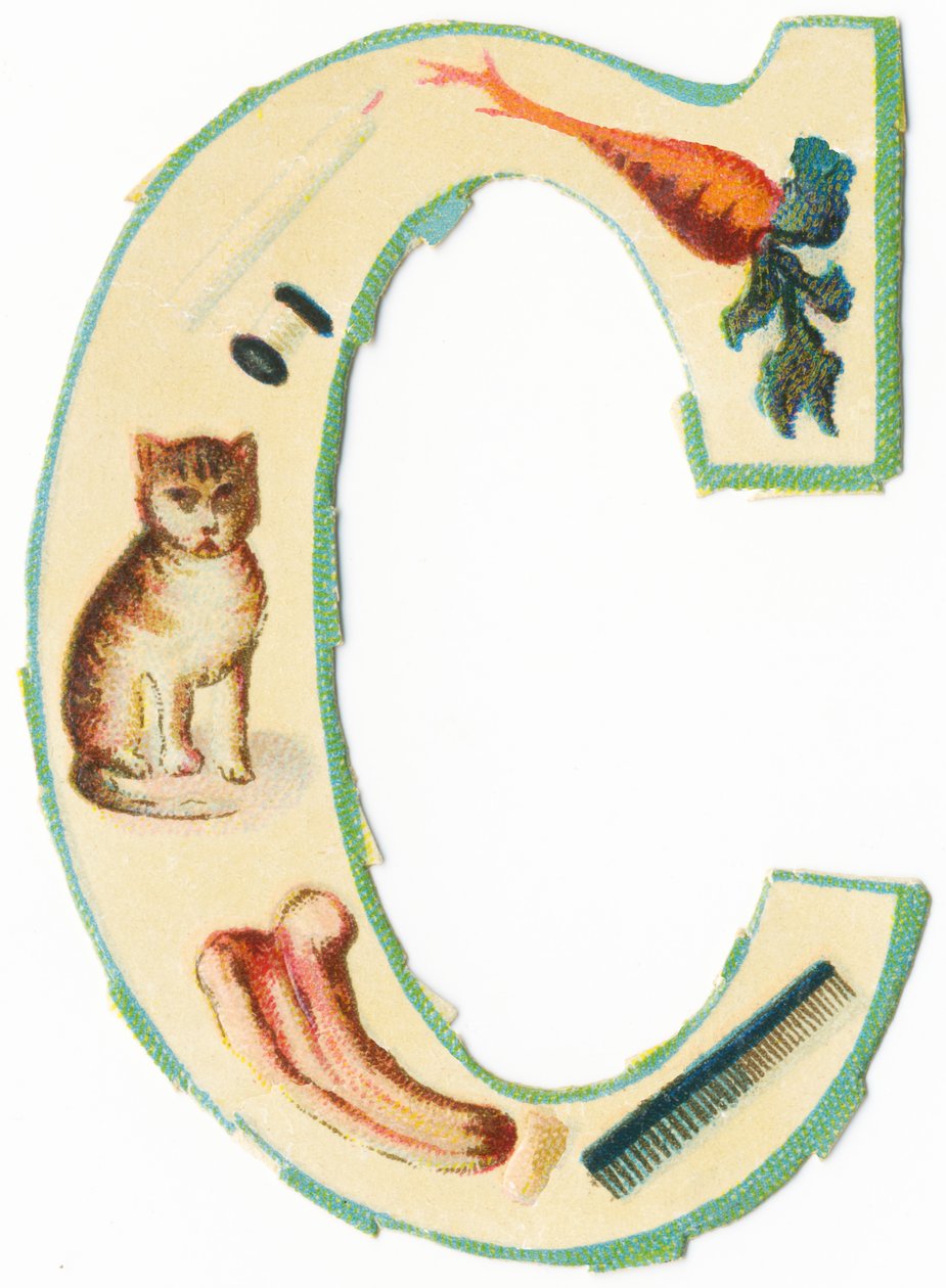 C : corail, carotte, bougie, coton, chat, coloquinte, peigne - Unknown artist