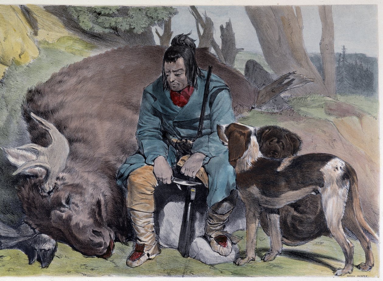 Chasse à l