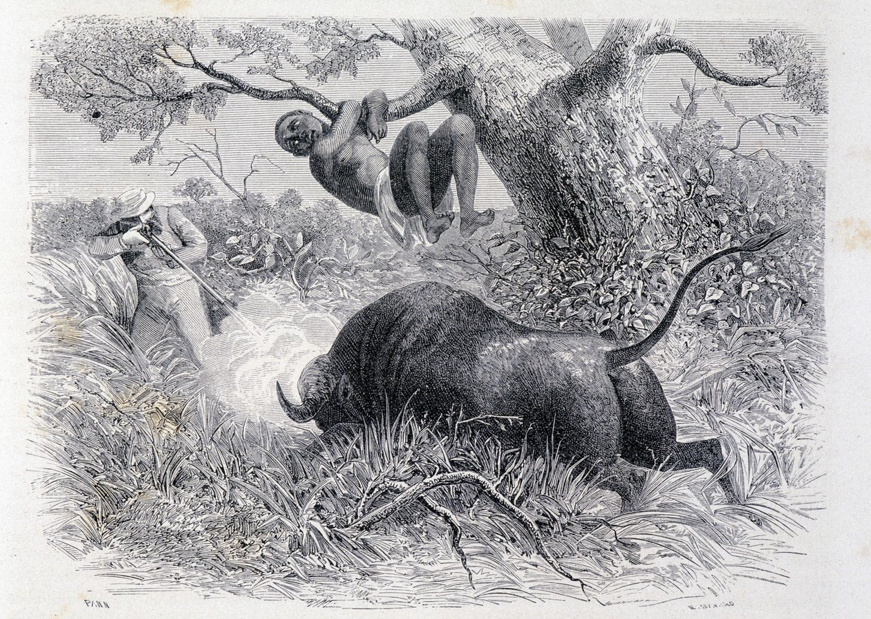 Le capitaine Speke chassant le buffle - dans "Tour du Monde" - Unknown artist