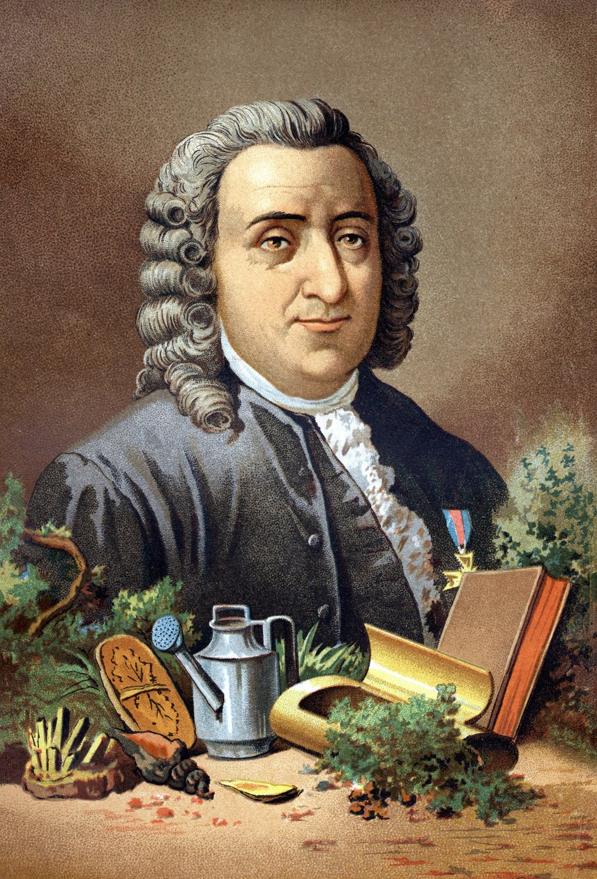 Carl Von Linné naturaliste et écrivain suédois (1707 - 1778) d