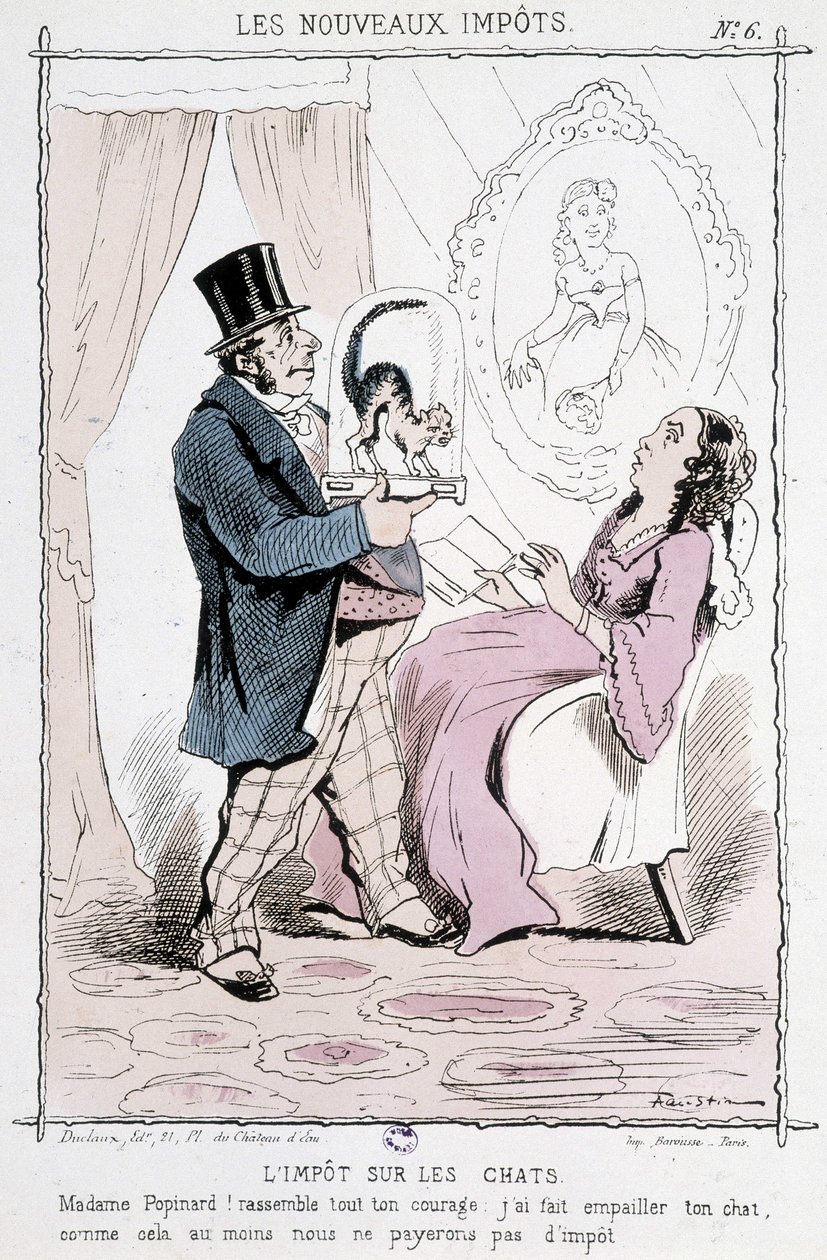 Taxe sur les chats : « Madame Papinard ! Rassemblez tout votre courage. J