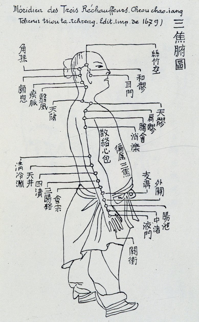 Acupuncture chinoise : le méridien des trois réchauffeurs - Unknown artist