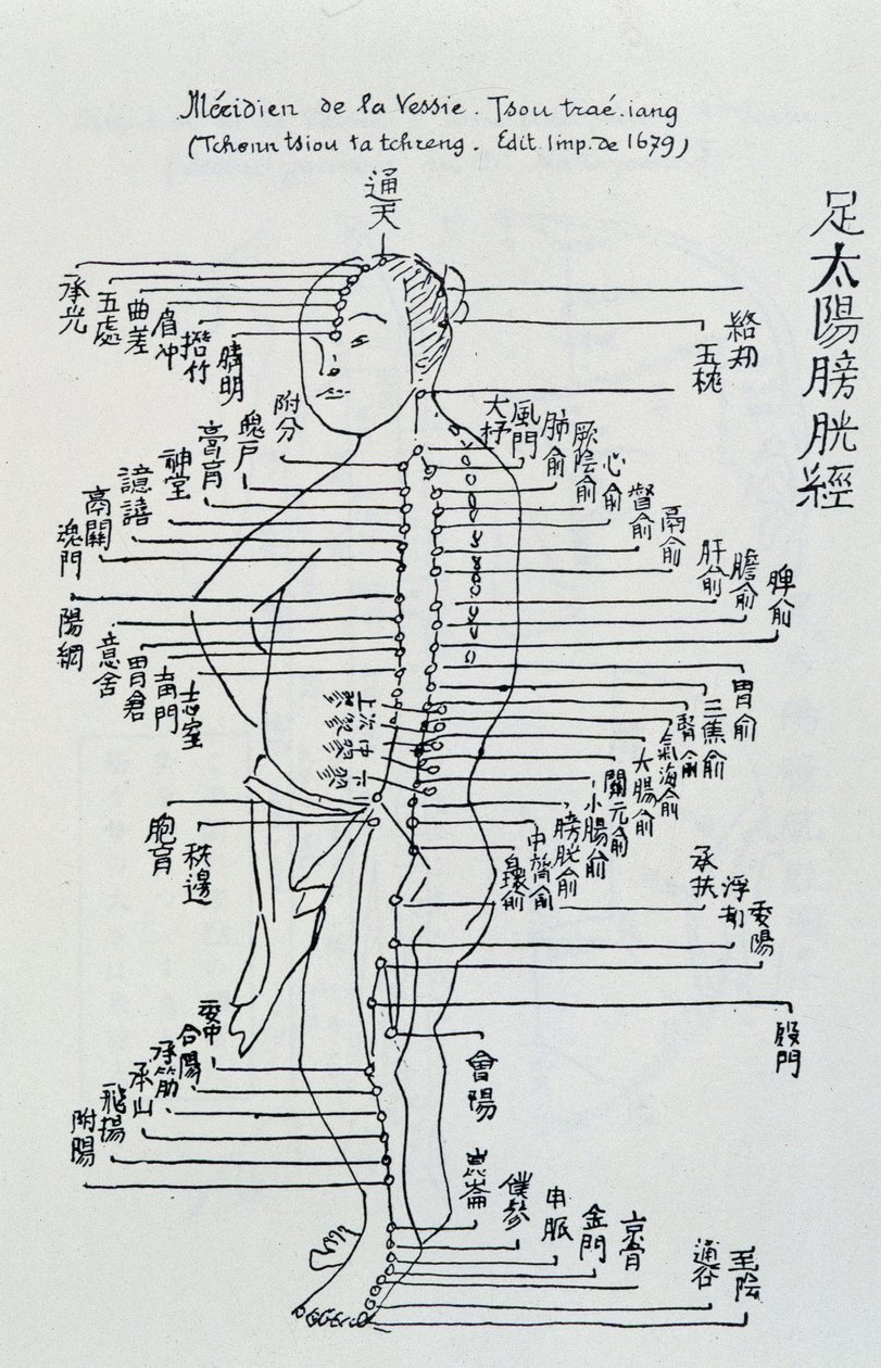 Acupuncture chinoise : le méridien de la vessie - Unknown artist