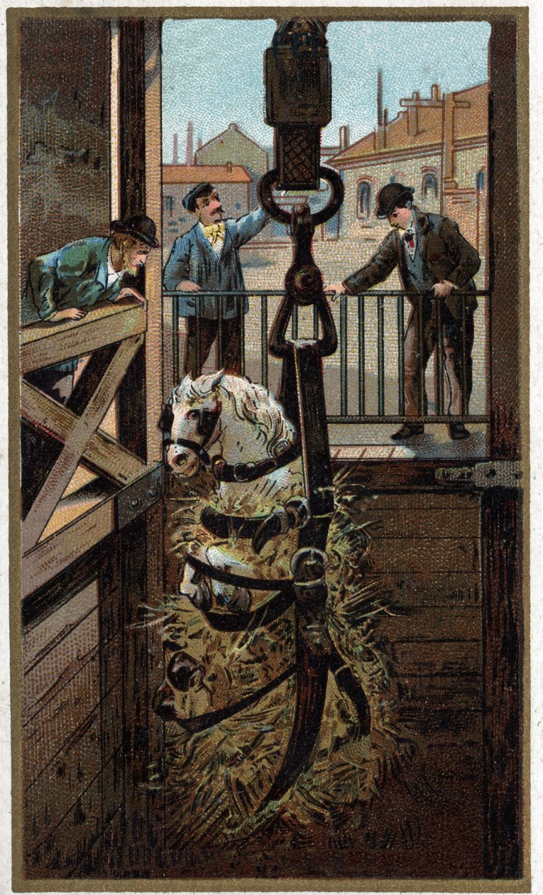 Chromolithographie de la fin du XIXe siècle - Unknown artist