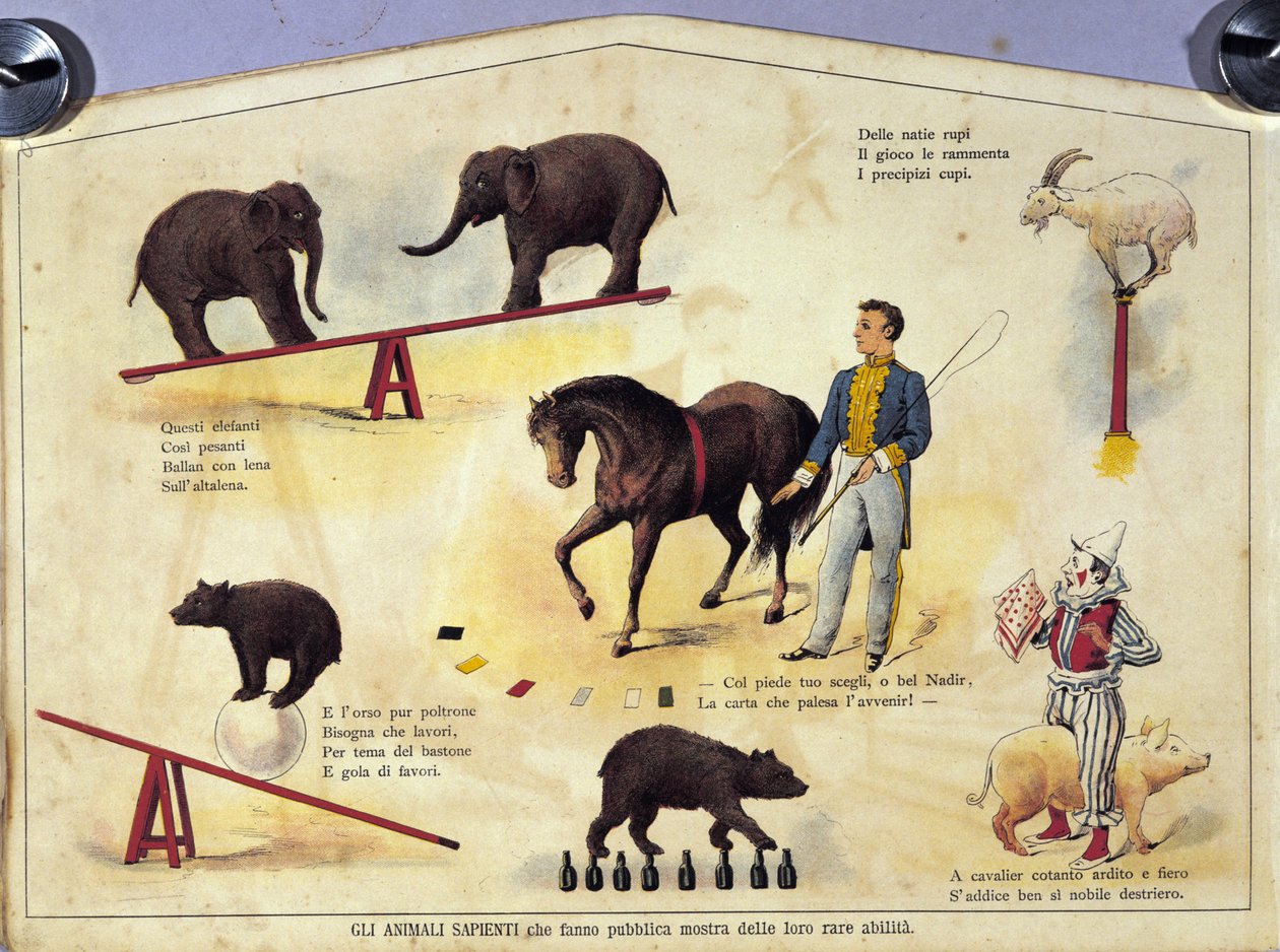 Cirque : une planche représentant différents types de spectacles d