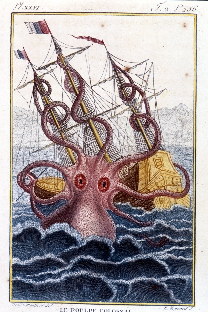 Poulpe colossal attaquant un navire - gravure du livre de Pierre Denys-Montfort « Histoire naturelle des mollusques », édition originale de 1802 - Unknown artist