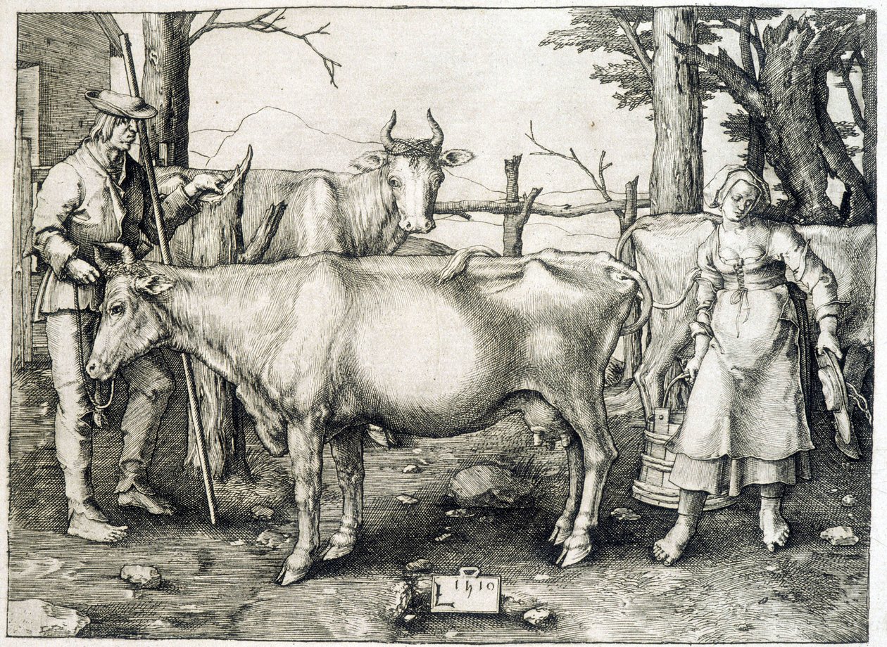 Vache et laiterie en Hollande - Unknown artist