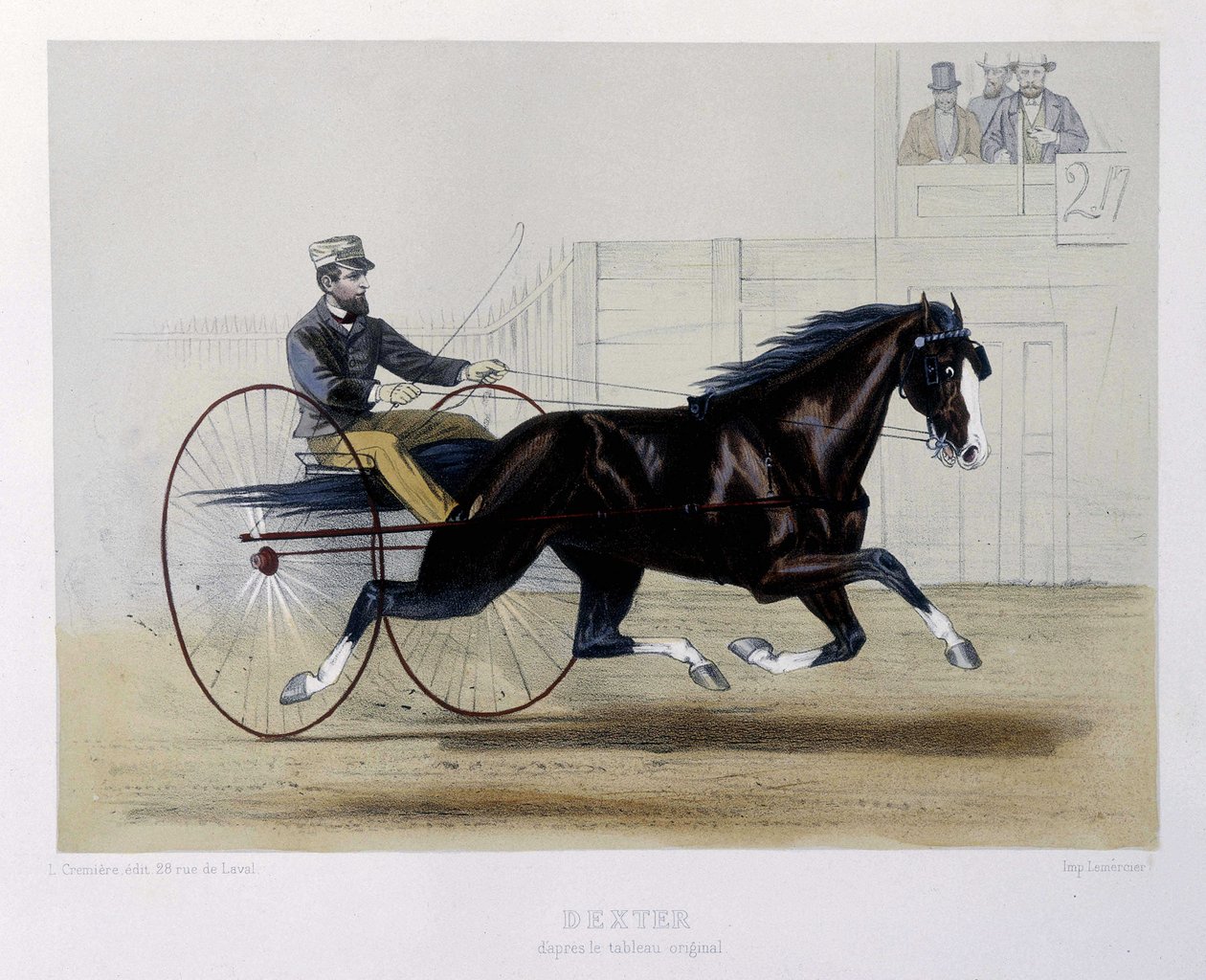 Dexter trotteur - dans « Le Centaure » - Unknown artist