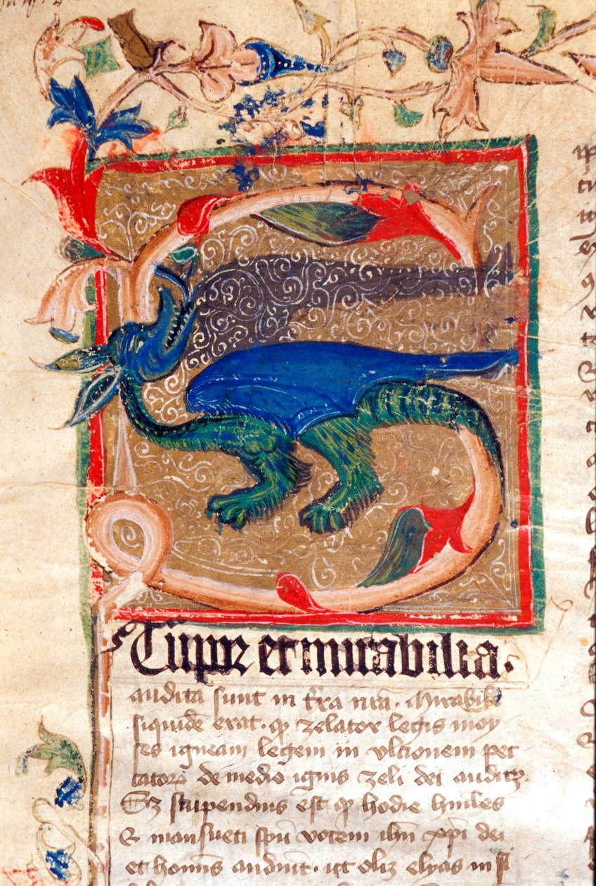 Lettrine décorée de dragon (détail) d