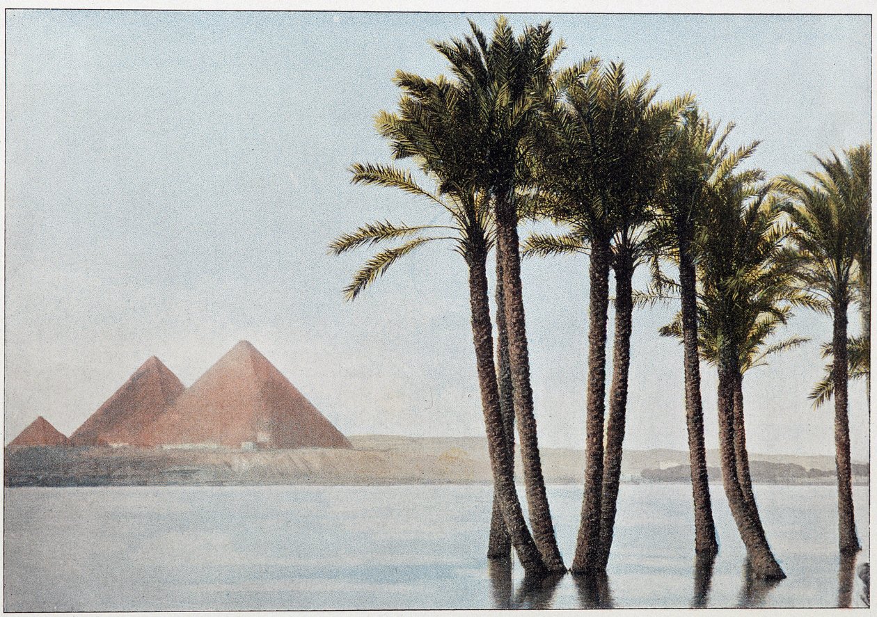 Égypte : la crue du Nil et les pyramides de Gizeh - Unknown artist