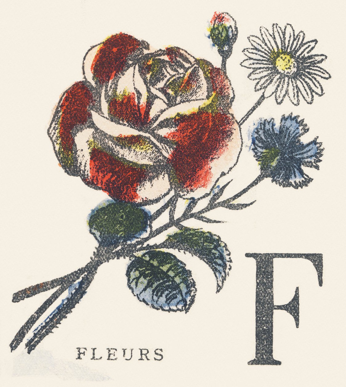 F: fleurs - Unknown artist