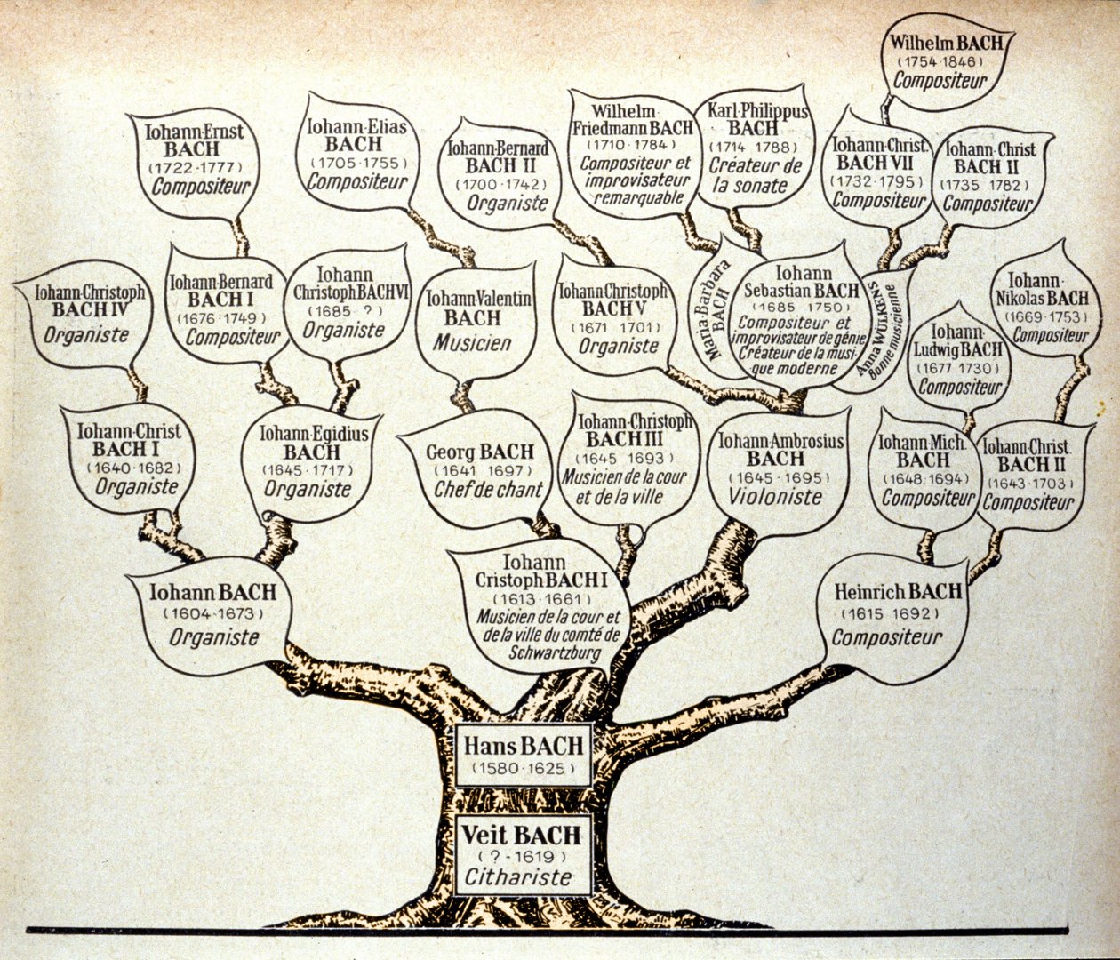 Arbre généalogique de la famille Bach - Unknown artist